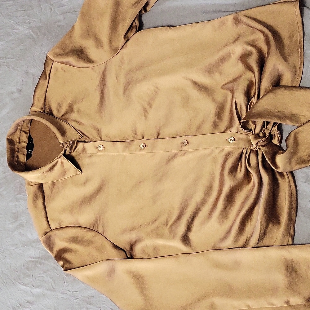 Express Stretch Satin Button-Down Shirt in Bronze